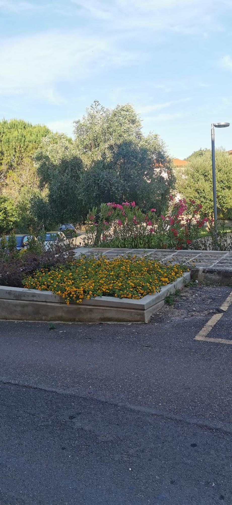 Villa La Mariposa Iglesias Esterno foto