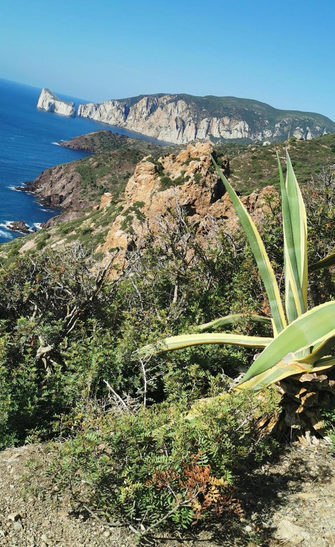 Villa La Mariposa Iglesias Esterno foto